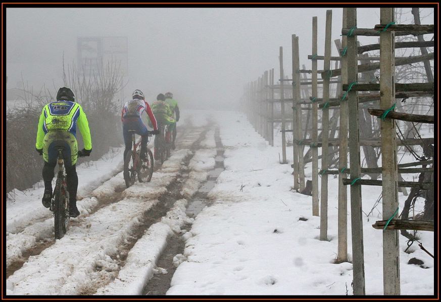 07/02/2010 Stradella (PV). MTB Cross Country, UDACE